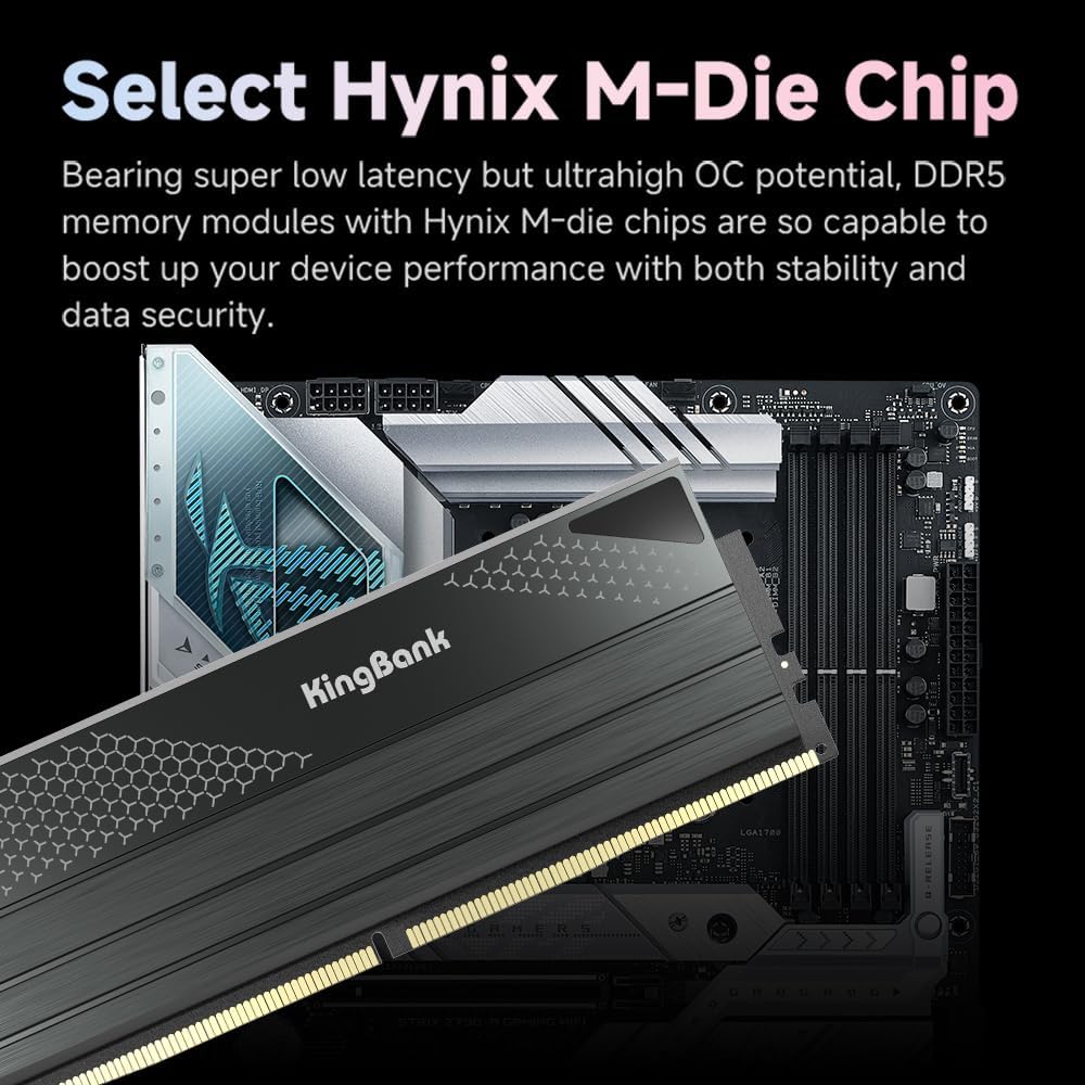 ذاكرة كينج بانك DDR5 KFXB سعة  - مراجعة Ddr5 Kit وسعره
